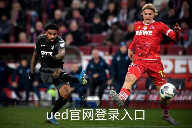 ued官网登录入口公司形象展示图